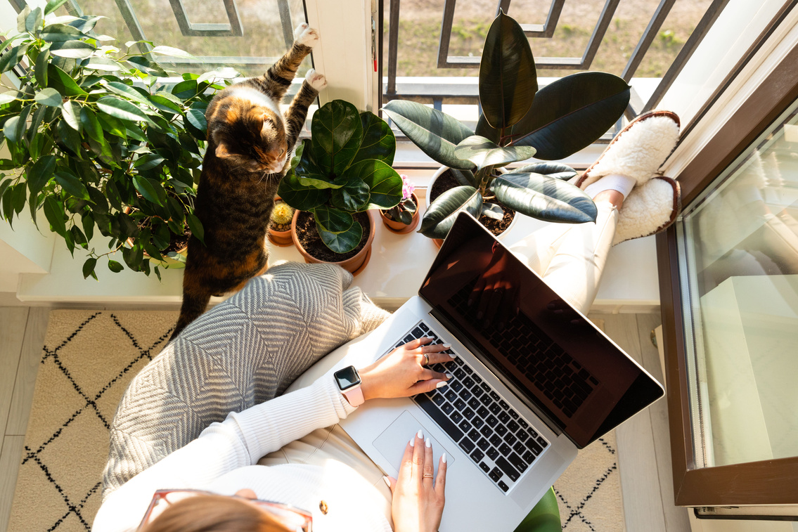 Woman Working at Home with Cat